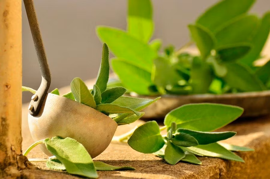 licores de monasterio, ruta por los monasterios, viajes en pareja