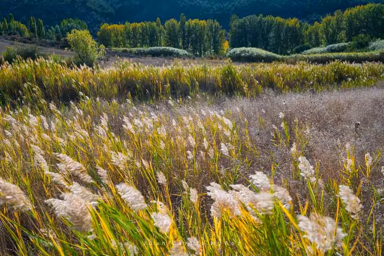 Zona del Tobar (Cuenca).
