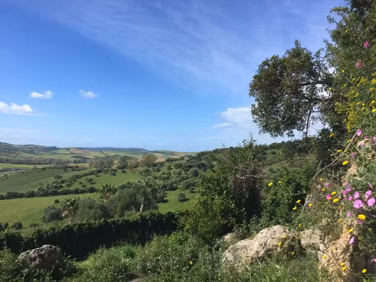 Paisaje en primavera desde la ruta de los Molinos de Agua.