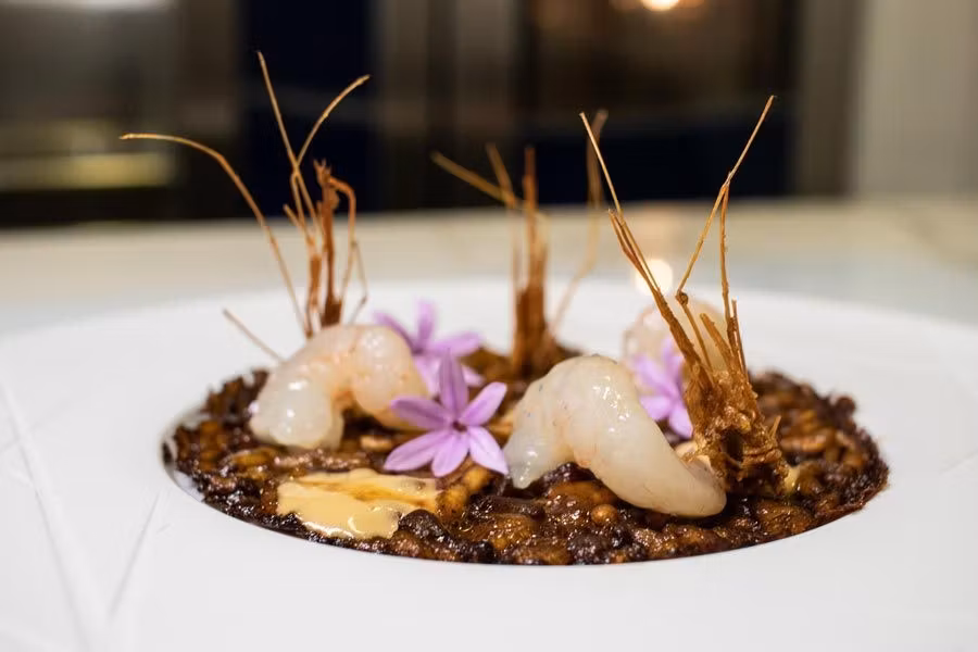 plato de gastronomia de Granada