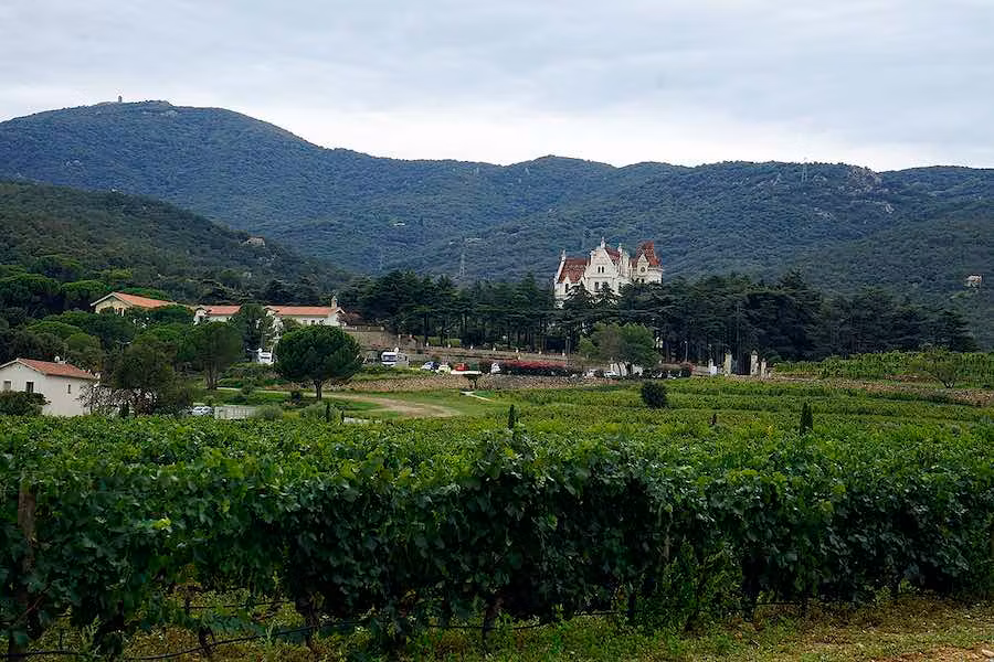 El château de Valmy rodeado de viñedos