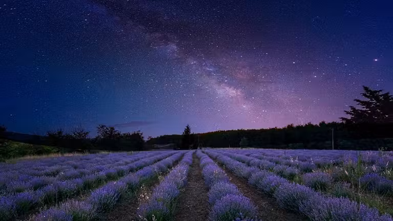 Albacete, una provincia entera bajo el sello Starlight