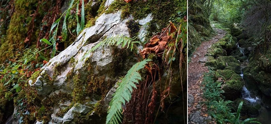 ruta beyu pen asturias