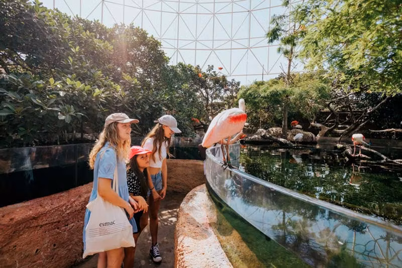 Niñas con un flamenco en LÓceanogràfic de Valencia