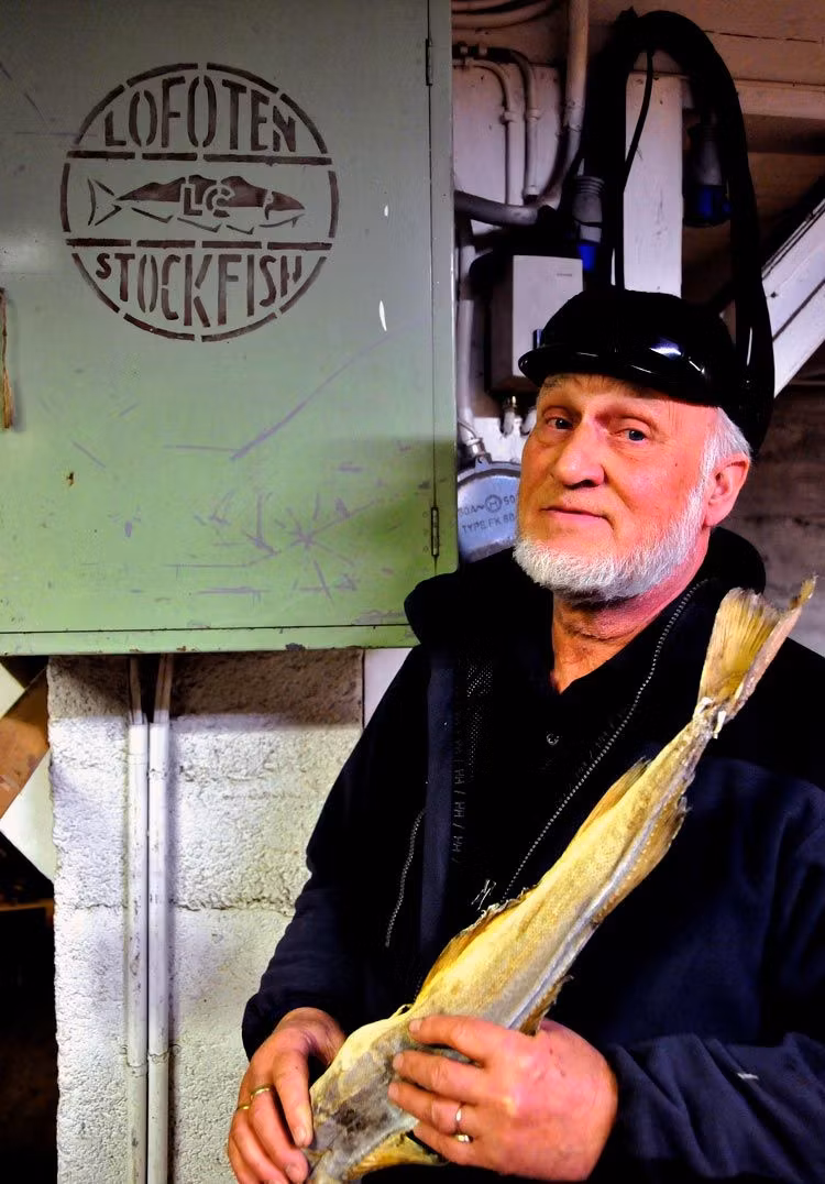 pescador de bacalao de las islas lofoten