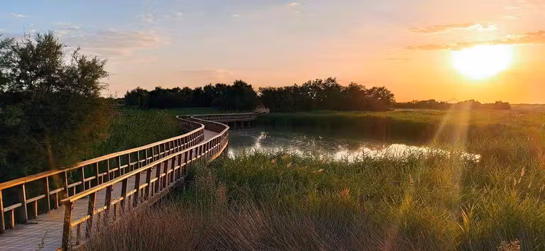 humedales parque tablas de daimiel