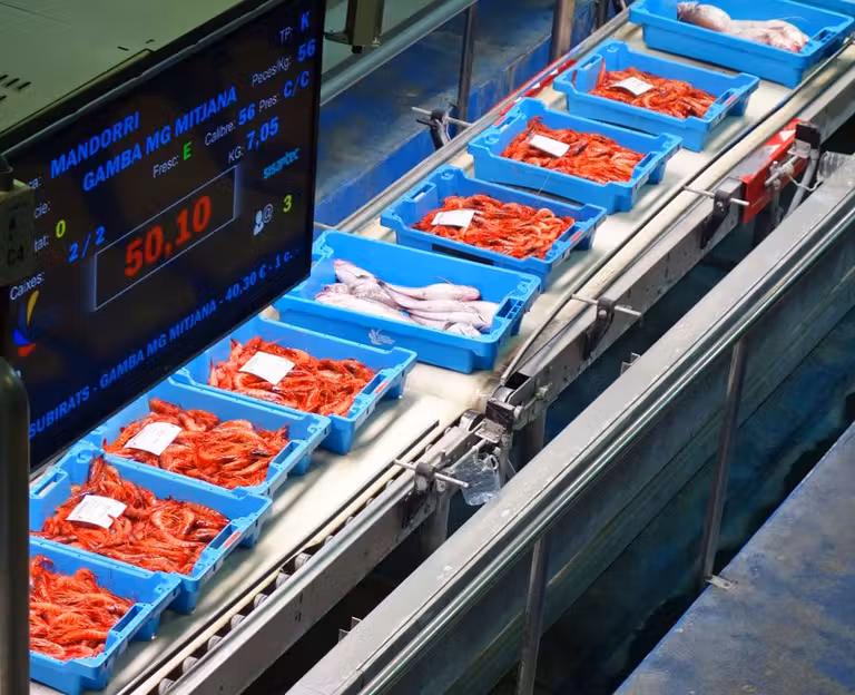 escapada gourmet, viaje gastronómico, viaje con amigas