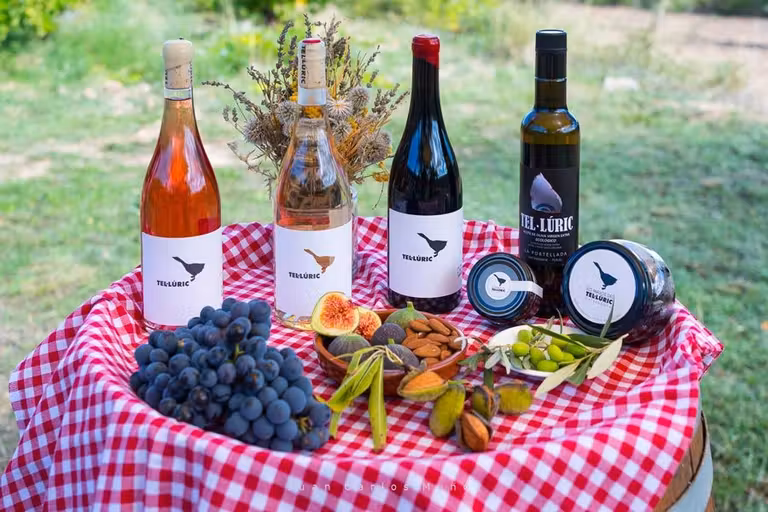 Vino ecológico Tel-luric, en Matarraña.