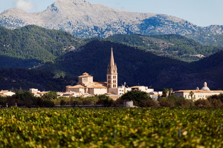 Paisaje de la Ruta del vino de Binissalem