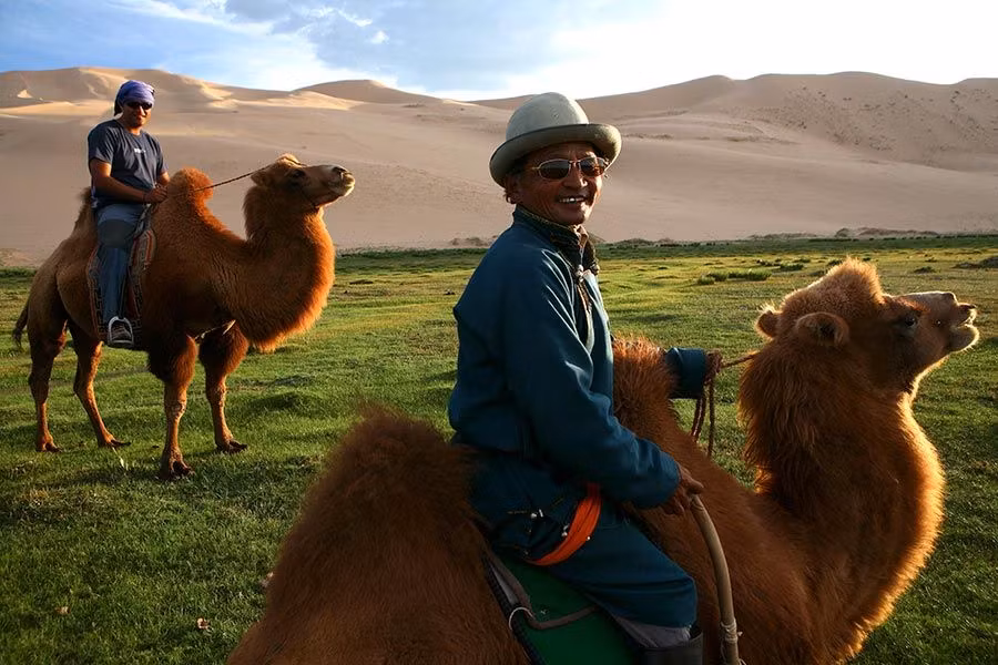 Paseo en camellos bactrianos por la dunas de Khongoryn Els.