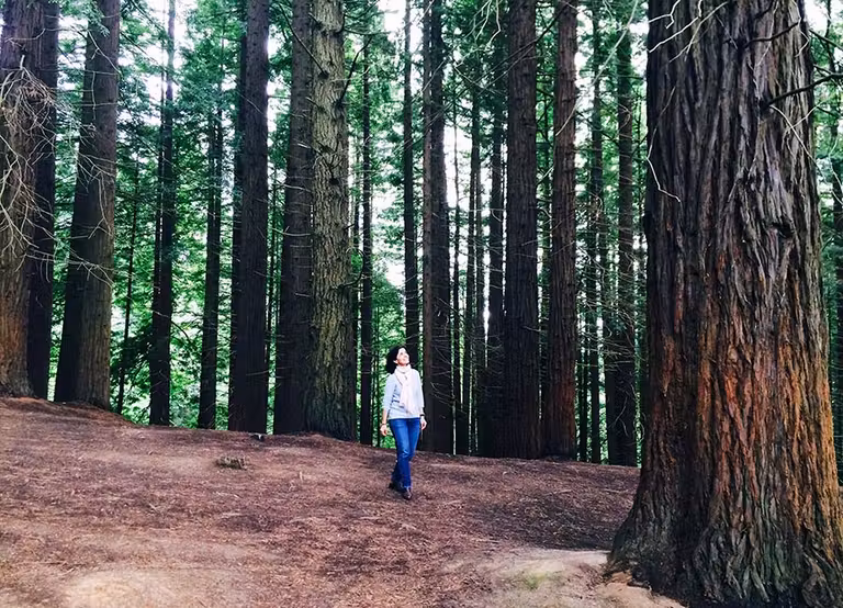 Descubre la Cantabria más desconocida, ocho lugares sorprendentes