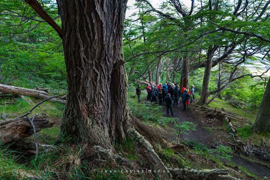 patagonia chilena, isla navarino, crucero patagonia, crucero mujeres