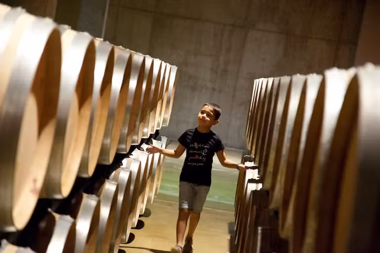 Iberovinac 2023, la feria de los amantes del vino, el aceite y la aceituna