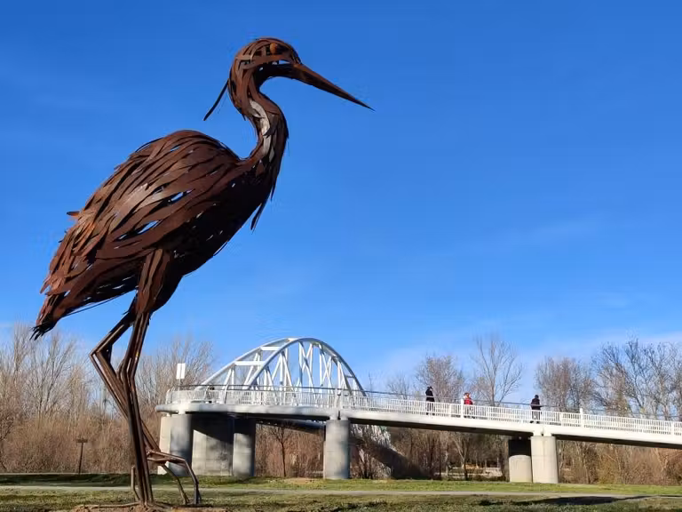 Isla del Soto, en Salamanca