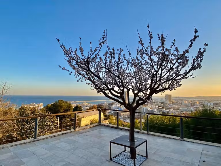 Parque Ereta, en Alicante.