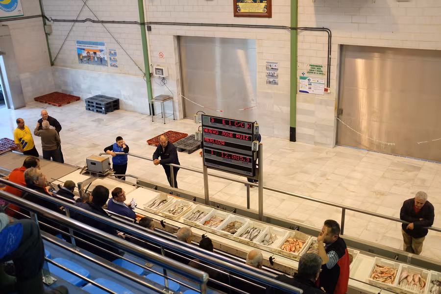 Subasta de pescado en La Garrucha.