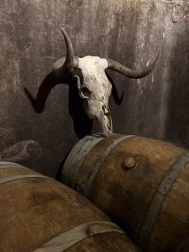 Bodegas Pastrana, en Fermoselle.