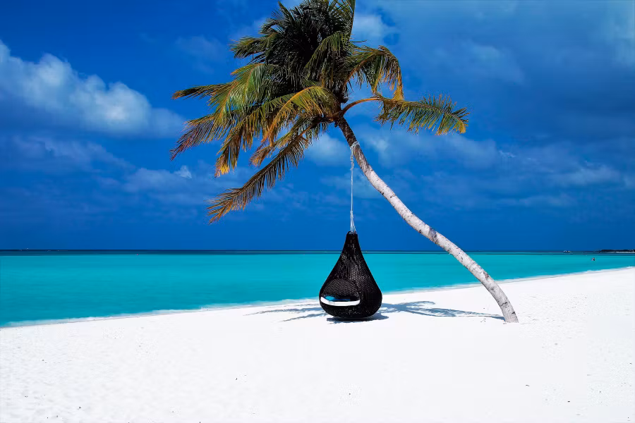 Preciosa playa de Maldivas con un columpio en una palmera.
