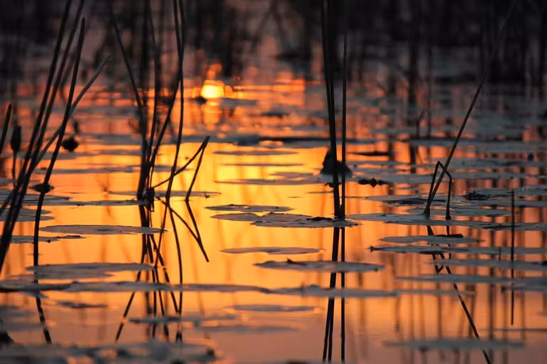 travel with rose, delta del okavango, viajes para mujeres