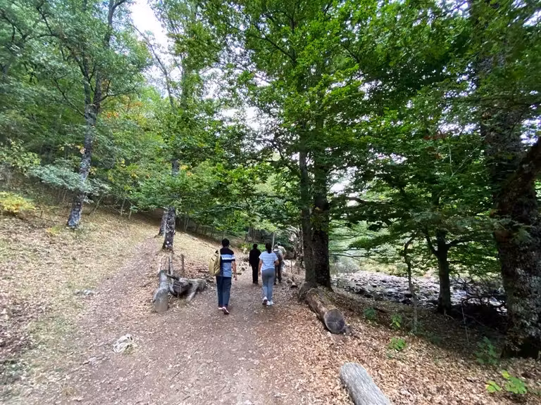 senda del rio hayedo montejo