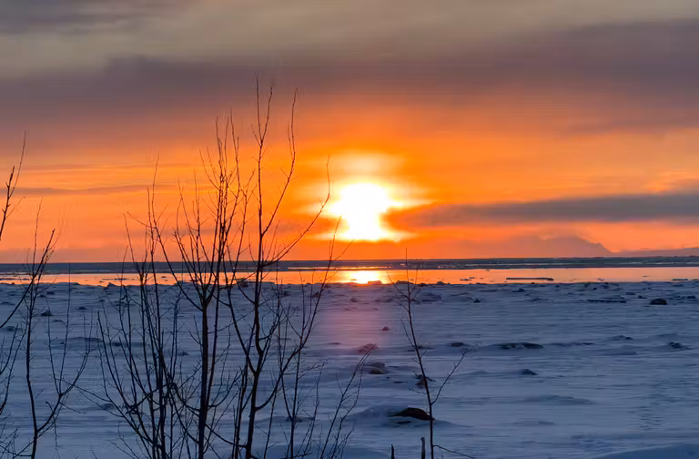 Puesta de sol en Anchorage. © Sania Jelic