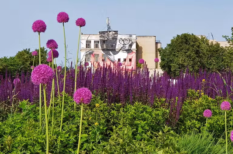 Qué ver en Kaunas, la bella desconocida de Lituania