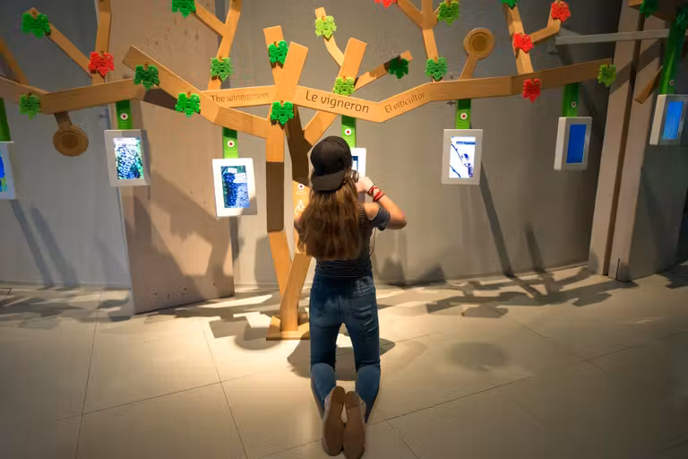 Los niños también disfrutan en la exposición permanente de La Ciudad del Vino.