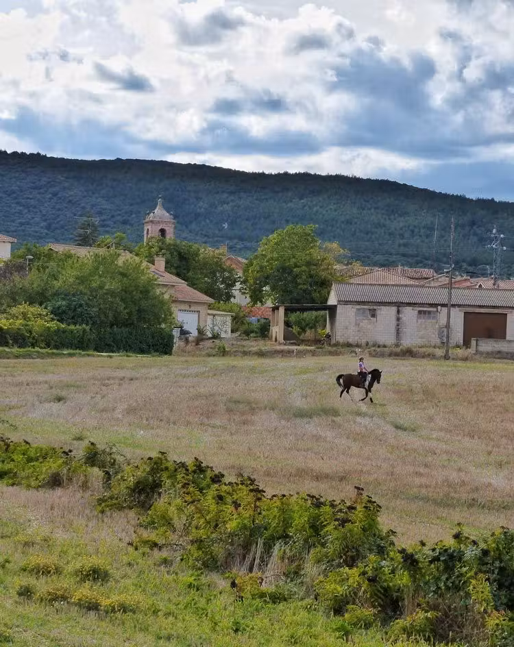 hipica acedo navarra