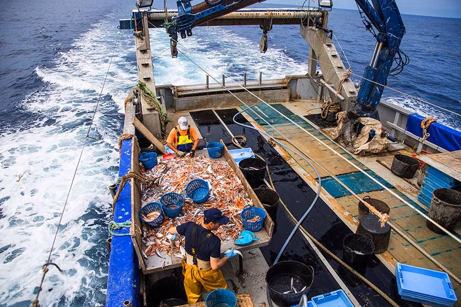 pescaturismo en castellon, que hacer en castellon