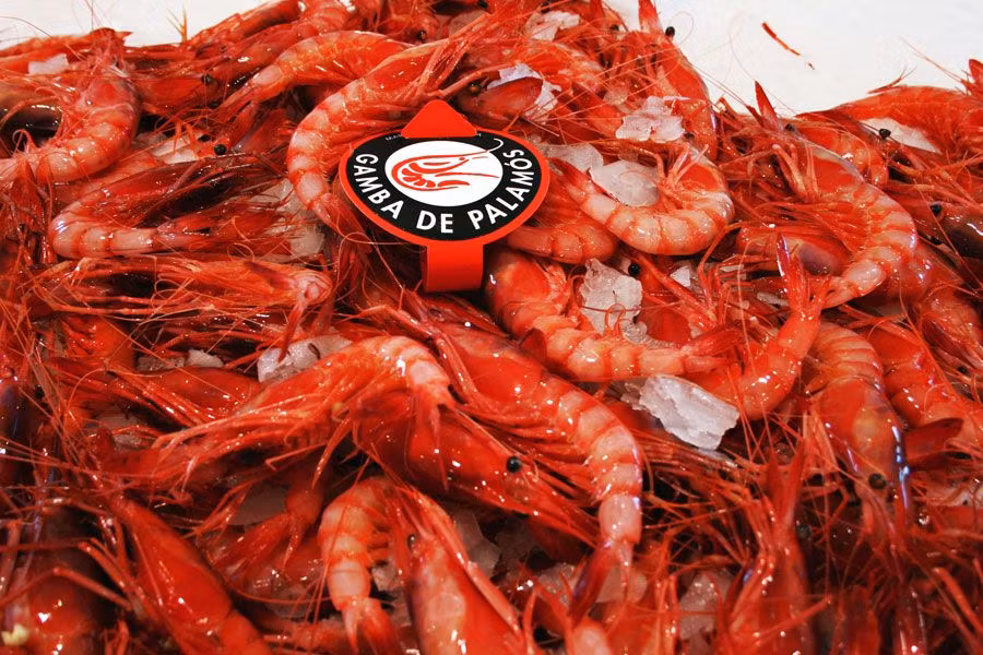 escapada gourmet, viaje gastronómico, viaje con amigas