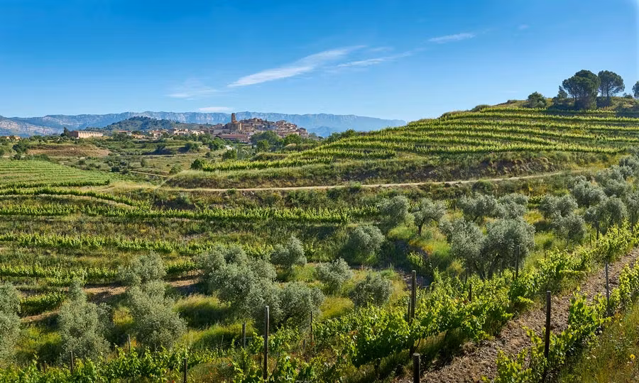 Paisaje vinícola del Priorat, en Costa Daurada.