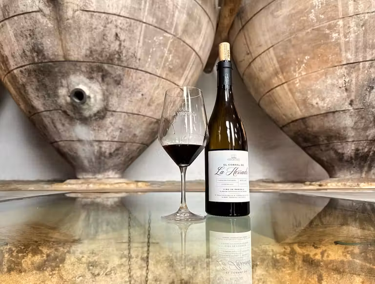 Vinoteca de Sinforiano, en Higueruela.