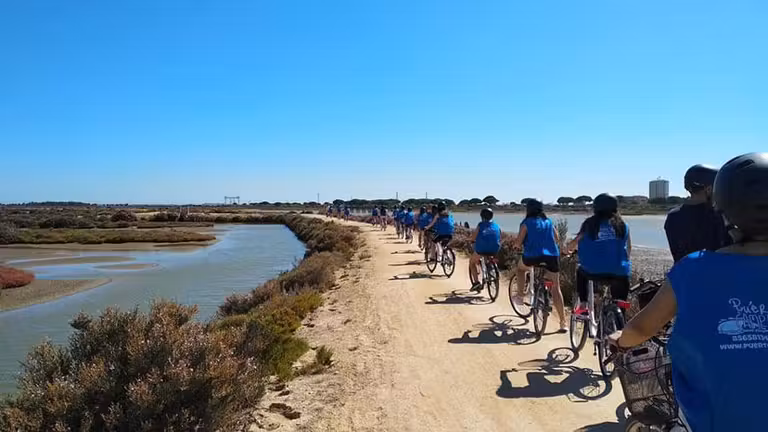 ruta bicicleta parque torunos
