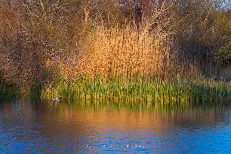 parque natural Aiguamolls