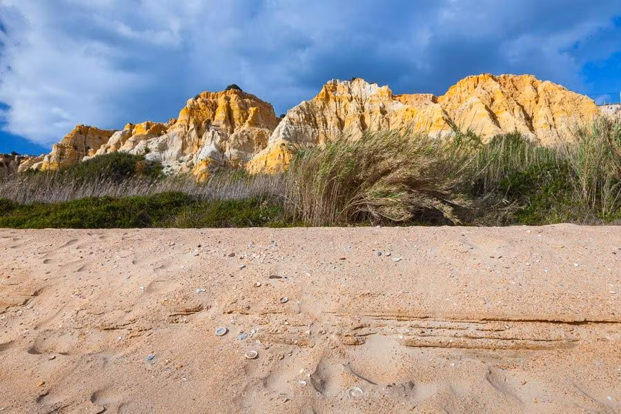 Acantilados de dunas fósiles del Asperillo.
