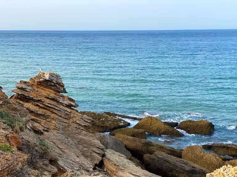 calas de roche en conil