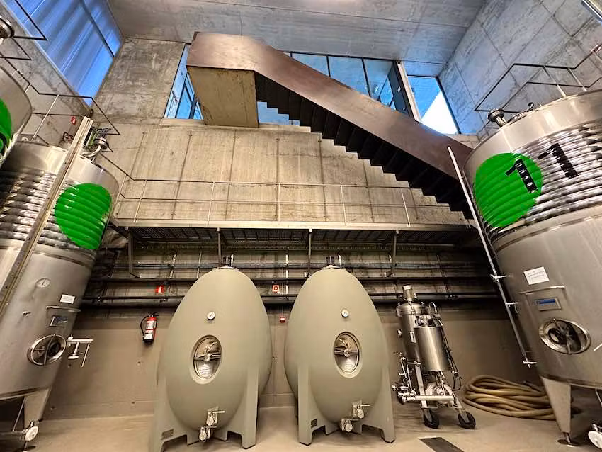 Interior de la Bodega Montepedroso.