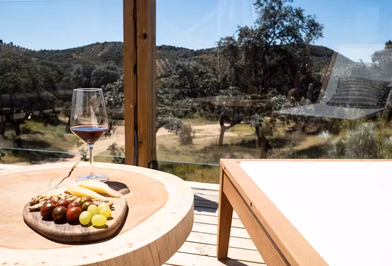 Copa de vino y aperitivo en una terraza de la cabaña de lujo