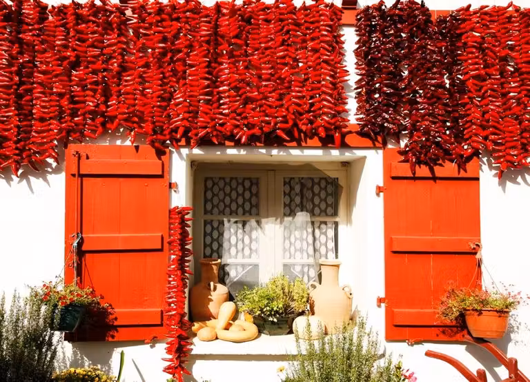 Pimientos rojos en Espeleta