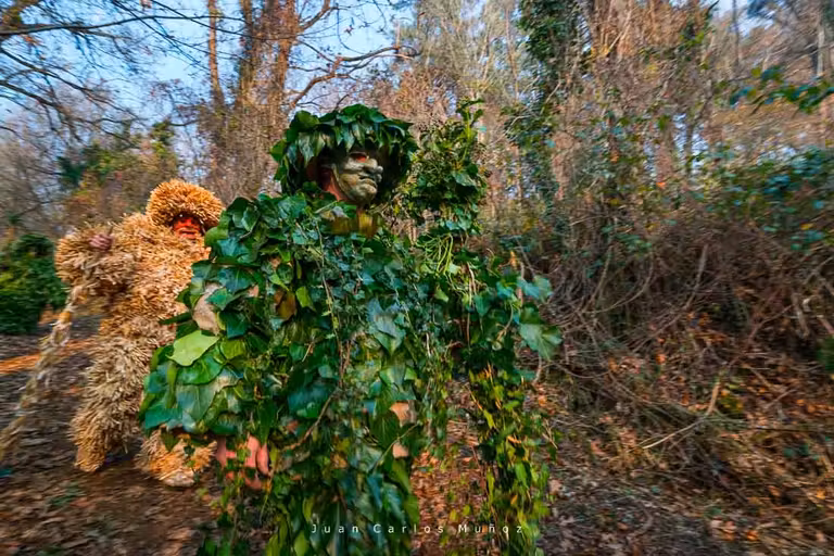 Personajes vestidos con hojas y musgo del carnaval de La Vijanera de Cantabria.