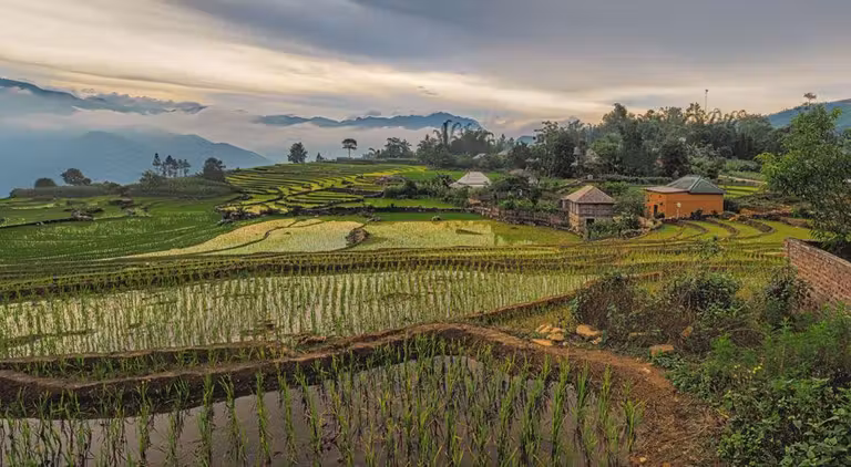 viajes de novios, lunas de miel, grandes viajes