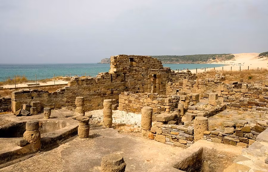 factoria salazon pescado baelo claudia