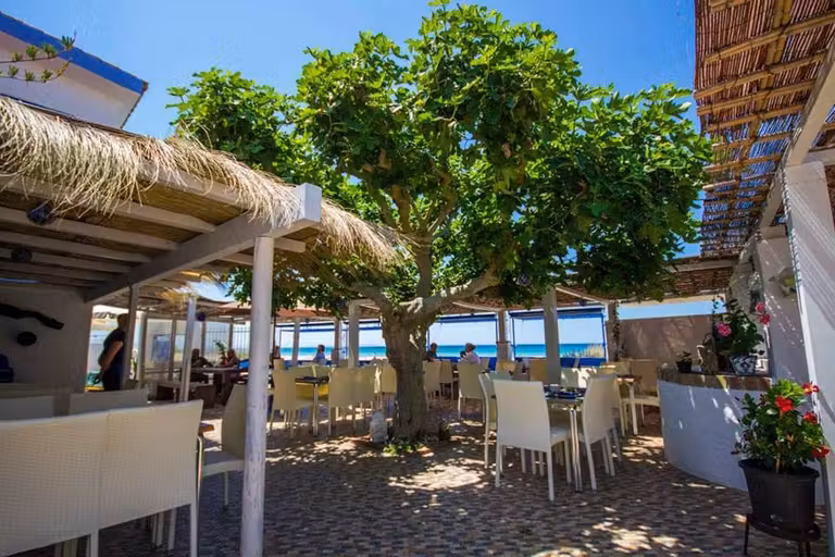 el refugio, chiringuito zahara atunes