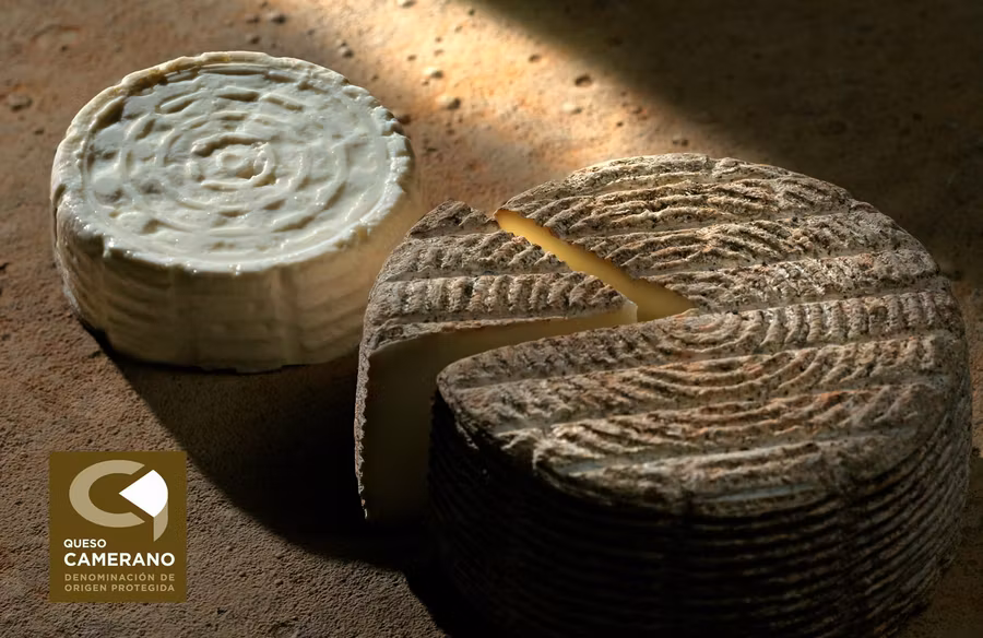 quesos de cameros, ruta gastronomica la rioja, platos tipicos en la rioja