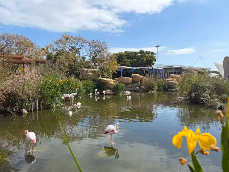 Zona exterior del Oceanogràfic Valencia.