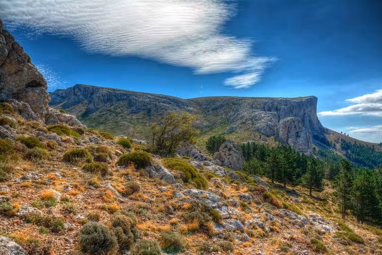 Paisaje del Parque Nacional del Moncayo.