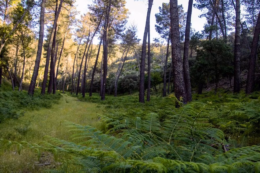 rutas por la siberia extremena