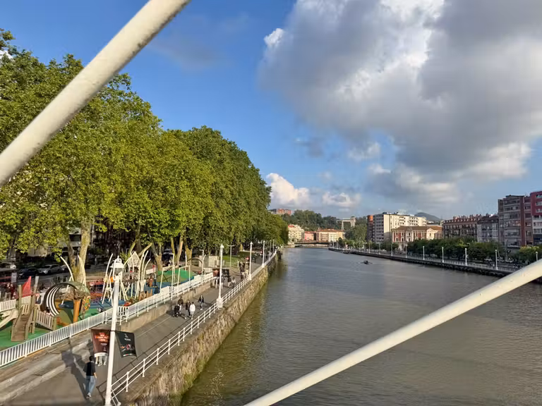 Ría de Bilbao desde el puente de Zubizuri.