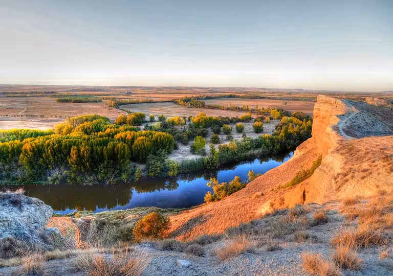 cortados del pisuerga en ruta vino cigales