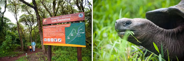viaje islas galapagos tortugas gigantes